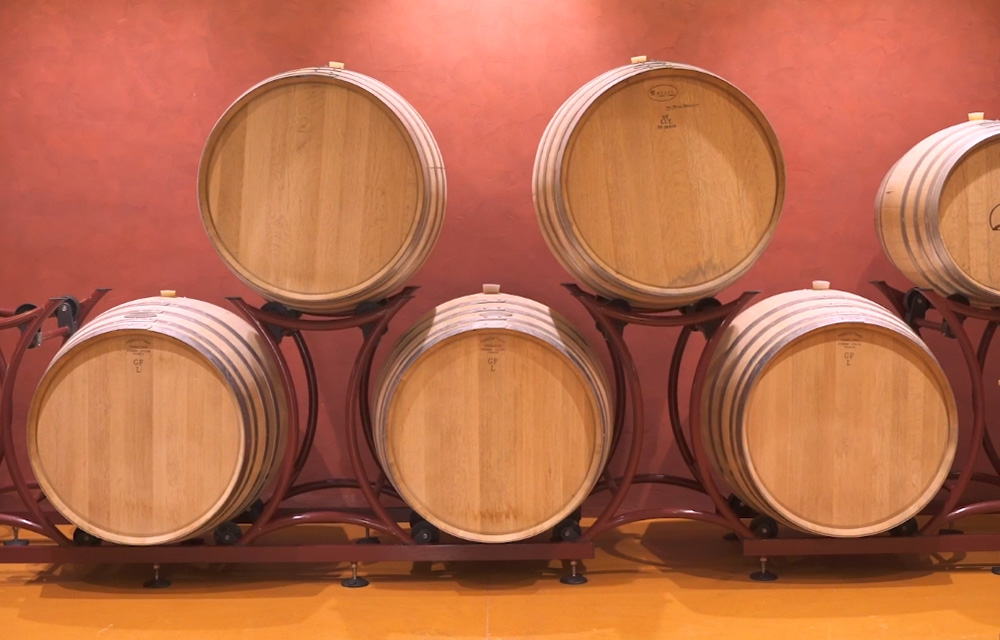 TENUTA-MARA-cantina_6 Tenuta Biodinamica Mara cantina